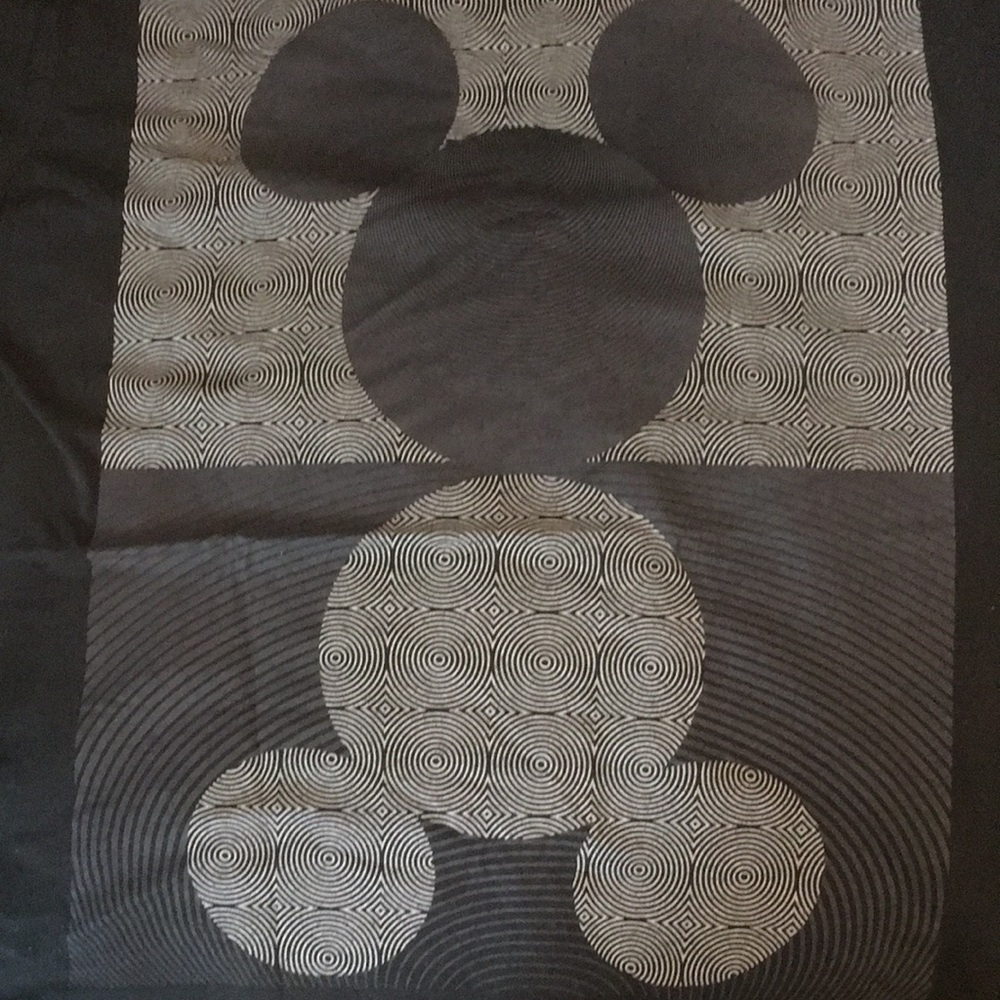 Disney graphic T.  Men’s XL, 24”W 30”L.  In great shape!